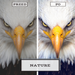 Nature - Presety do Adobe Lightroom